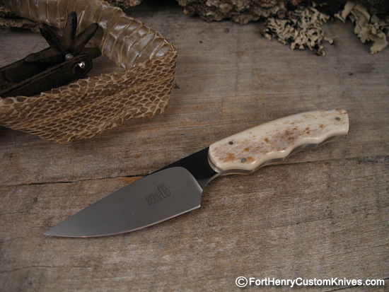 Arno Bernard Jr. - African Squirrel