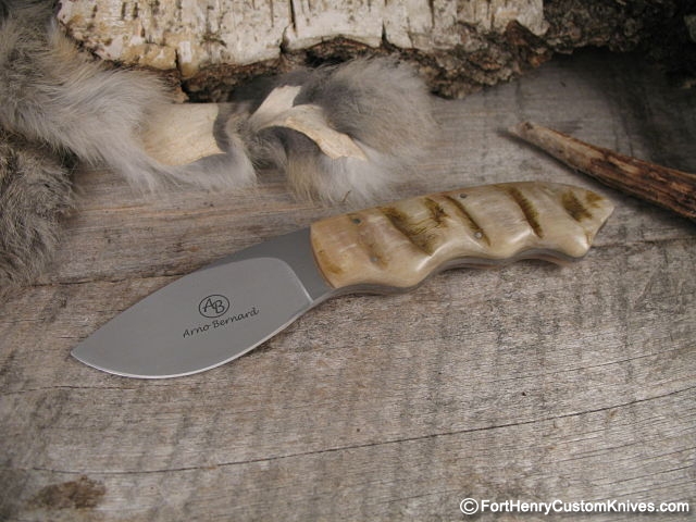 Arno Bernard Jr. - Raven Skinner