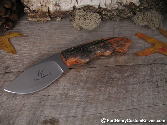 Arno Bernard - Raven Skinner