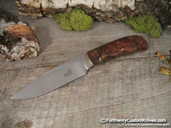 Arno Bernard Sr. - Sahara Vulture