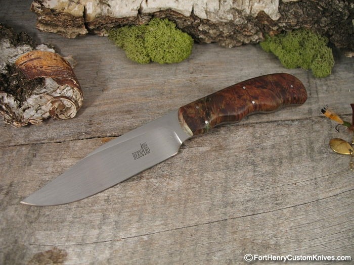 Arno Bernard Sr. - Sahara Vulture