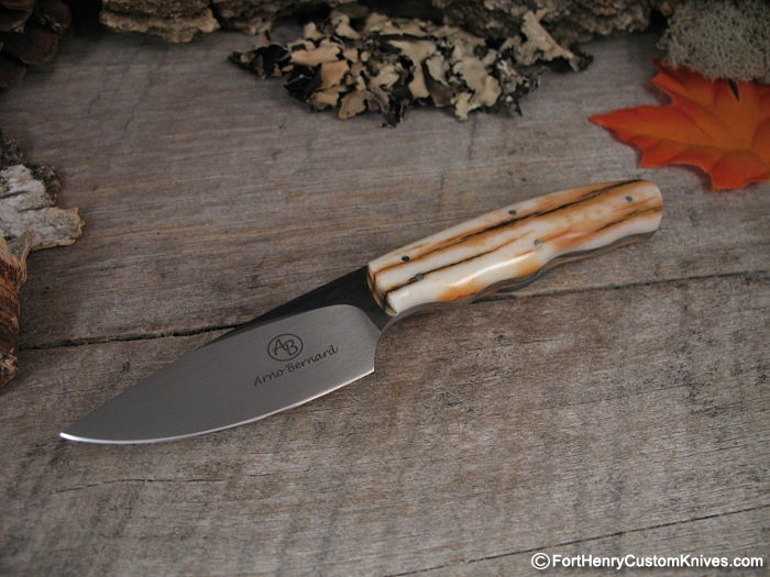 Arno Bernard Jr. - African Squirrel