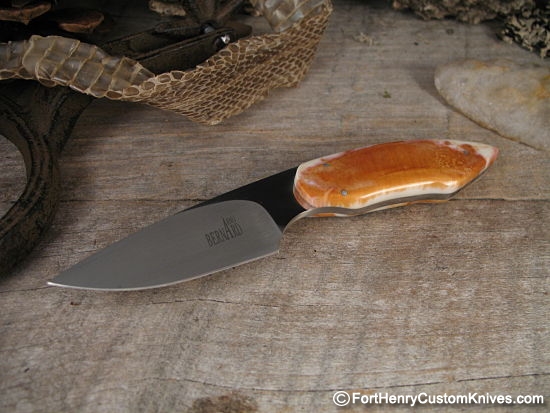 Arno Bernard Jr. - Meerkat