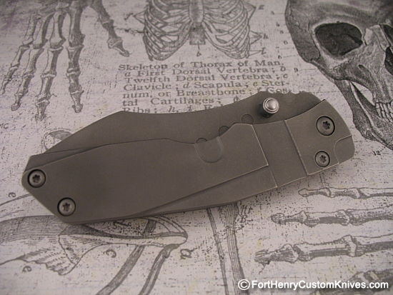 Kingdom Armory - Custom Solid Titanium Samaritan - Image 2