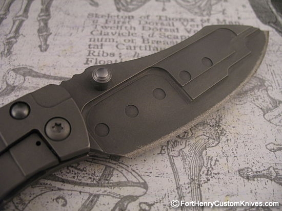 Kingdom Armory - Custom Solid Titanium Samaritan - Image 4