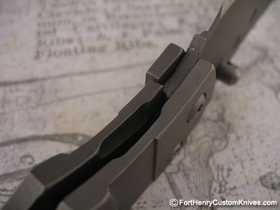 Kingdom Armory - Custom Solid Titanium Samaritan - Image 6