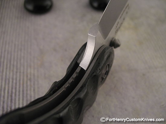 Steve Kelly - Kogia - Image 5