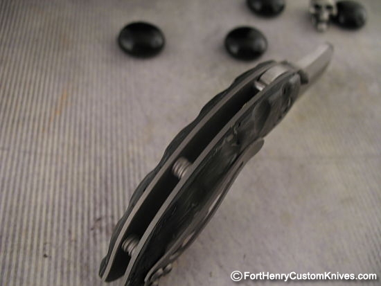 Steve Kelly - Kogia - Image 6