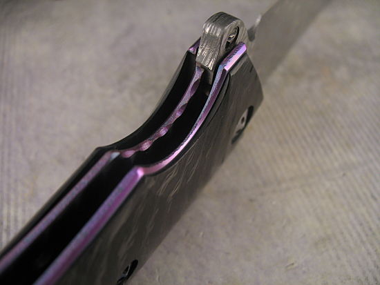 Allen Elishewitz - Black Dolphin Flipper - Image 6