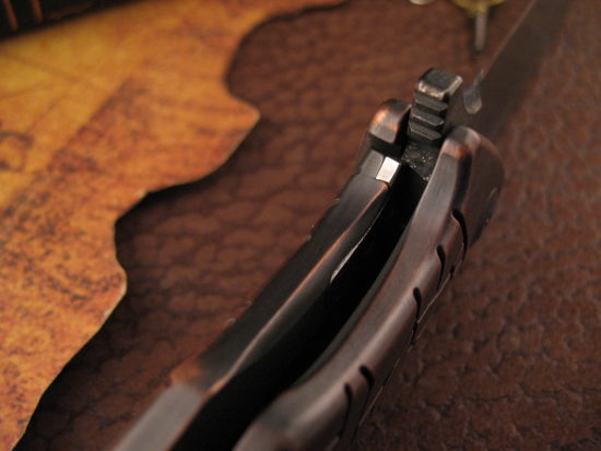 Michael Zieba - S-4 in Dark Copper - Momento Mori / Angry Bird - Image 5