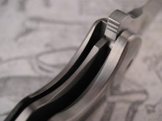 David Mosier - Custom Spyro Flipper - Image 5