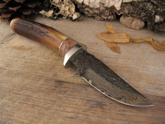 Herb Derr - Amber Stag Trailing Point Hunter - Image 7