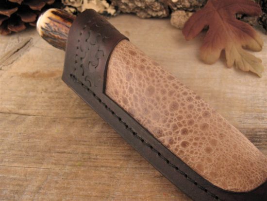 Herb Derr - Sambar Stag Personal - Image 6