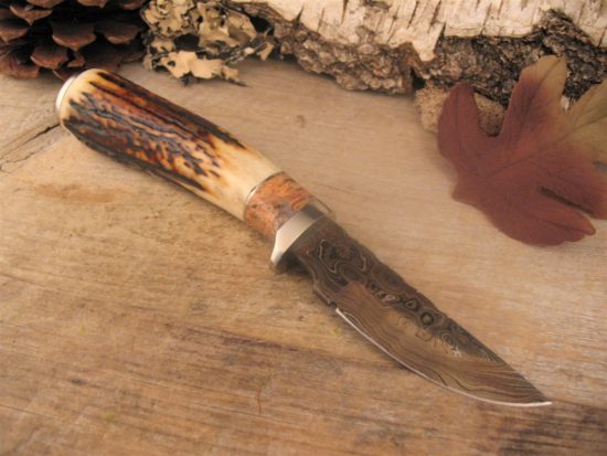 Herb Derr - Sambar Stag Personal - Image 5