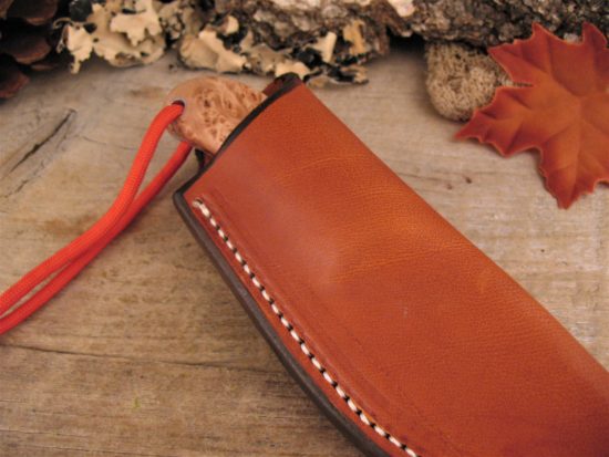 Tom Krein - NEW Design - Explorer - Image 7