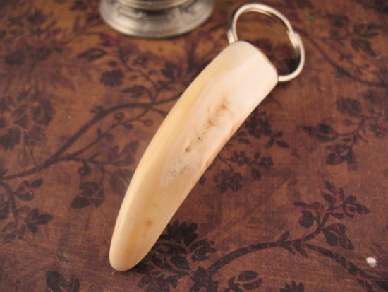 Arno Bernard - Warthog Tusk Key Chain - Image 3