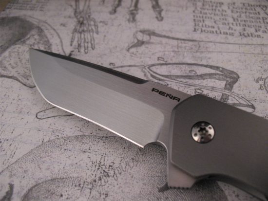 Enrique Pena - Custom Dingo Flipper - Image 4