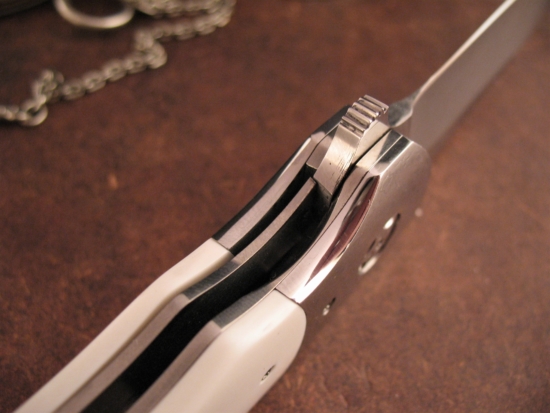 Jaco de Kock - PL1 - Engraved Bolsters - Image 5