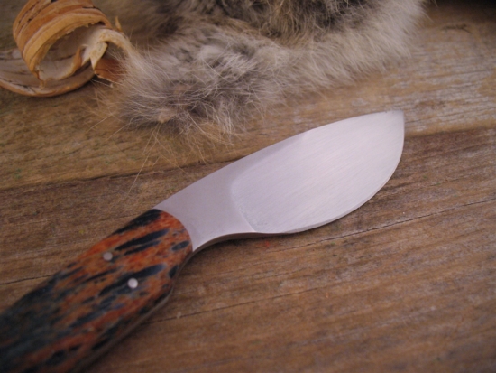 Arno Bernard Sr - Personal Skinner - Giraffe Bone - Image 2