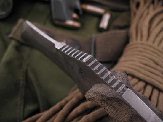 Kiku Matsuda - Custom Talon Kerambit - D2 - Image 5