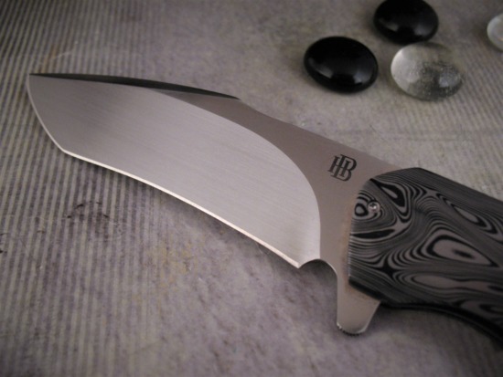 Herucus Blomerus - Motswiri Flipper - Wild Ribbon CF - Image 2