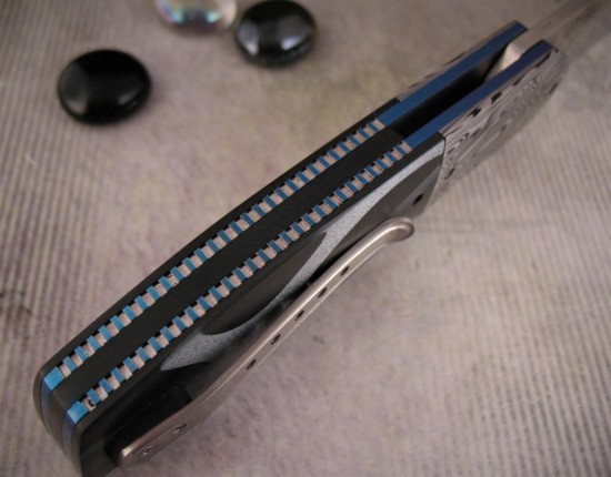 Herucus Blomerus - Motswiri Flipper - Wild Ribbon CF - Image 4