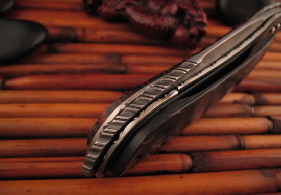Corrie Schoeman - Custom Xplode - Front Flipper - Image 3