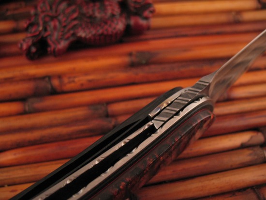 Corrie Schoeman - Custom Xplode - Front Flipper - Image 5