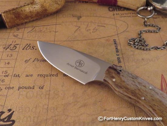 arno bernard gecko blade